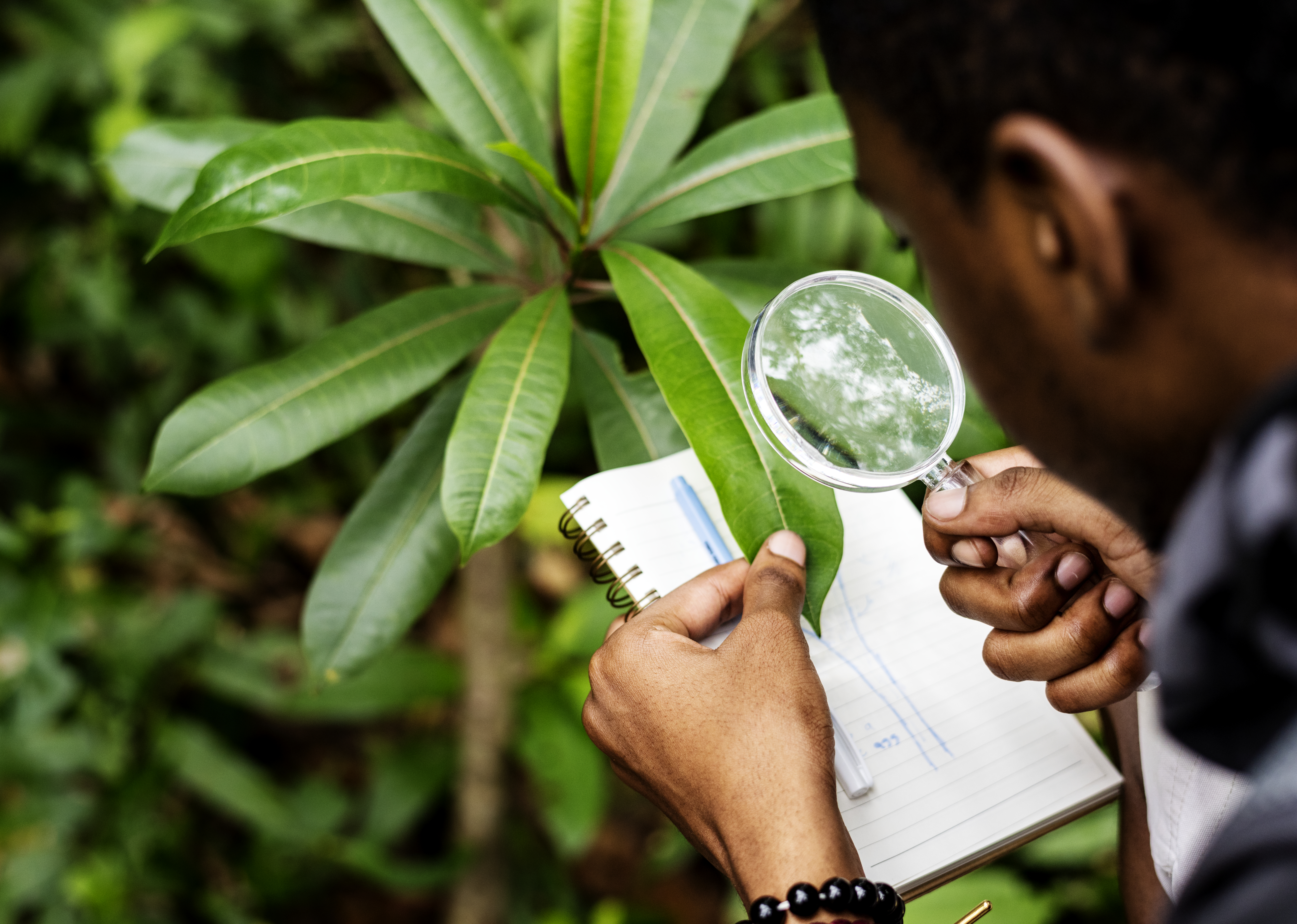 Gestão Ambiental